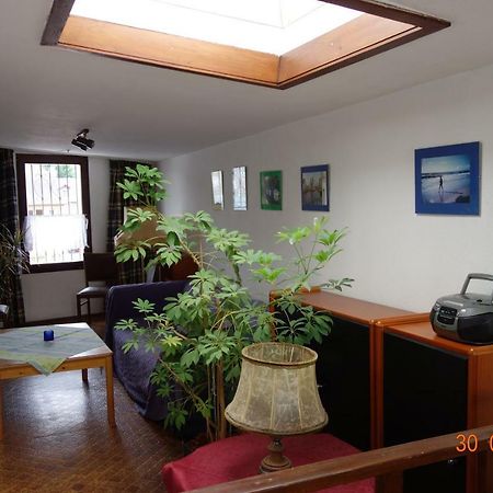 Ferienwohnung Burgblick Traben-Trarbach Ngoại thất bức ảnh
